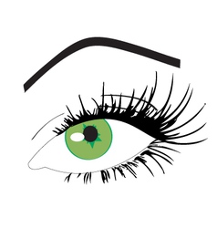 Feminine Eye vector image