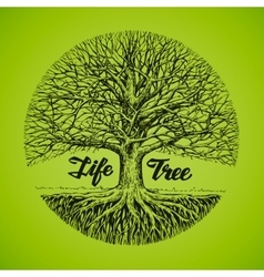 Hand drawn sketch tree with roots Ecology vector image