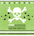 Skull with stars vector image