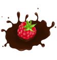 Chocolate raspberry Chocolate raspberry vector image