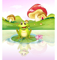 A frog watching his reflection from the water vector image