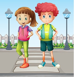 Kids at the pedestrian lane vector image