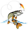 Pike and fishing lure vector image