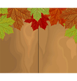 Autumn leave over wood vector image