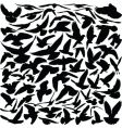 Pigeon silhouettes vector image