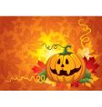 Halloween pumpkin vector image