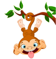 Monkey hamming vector image