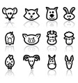 Domestic animals vector image