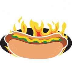 Hot dog vector image