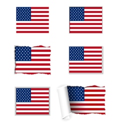 USA flag set vector image