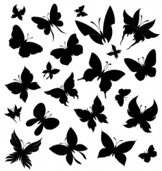 Set of butterflies vector image