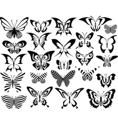 Butterflies vector image