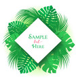 Palm leaf decoration vector image