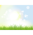 Abstract Summer Background vector image