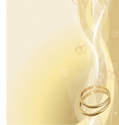 Wedding rings background vector image