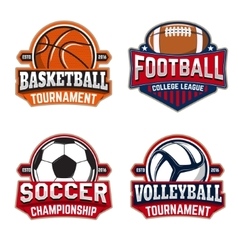 Set of basketball football soccer volleyball vector image