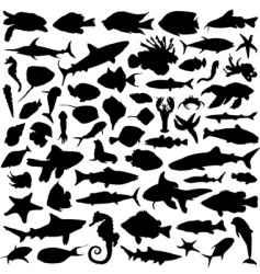 Sea animals vector image