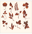 Plants silhouettes vector image