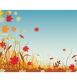 Autumn leaves vector image