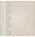 Lace border on grunge background vector image