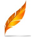 Feather detailed illustration vector image