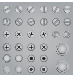 Screws and nuts vector image