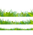 Seamless jungle and tropical vegetation vector image