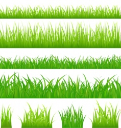Grassy borders vector image