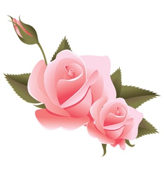 Flower design element vector image
