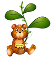 A bear near a vine plant vector image