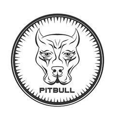 Pit bull terrier label Dod face vector image