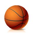 Basket ball vector image