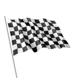 Checkered flag vector image