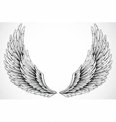 Wings vector image