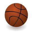 Basketball vector image