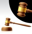 Gavel vector image