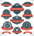 Vintage labels and ribbon retro style set Vintage labels and ribbon retro style set vector image