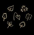 Set of leaves icons vector image
