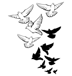 Flying pigeons background Hand drawn vector image