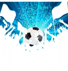 Football fans crowd vector image