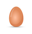 Boiled egg realistic isolated vector image