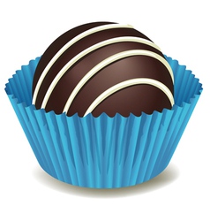 Chocolates in blue cup vector image