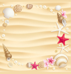 Seashell background vector image
