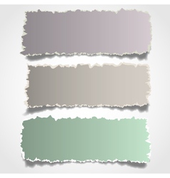 Three realistic torn paper banners vector image
