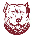 Pitbull mongrel symbol vector image