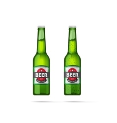 Beer bottles isolated Beer bottles isolated vector image