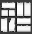 Torn notebook vector image