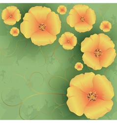 Vintage floral background with flowers poppies vector image