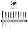Kitchen knives vector image