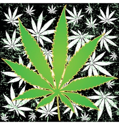 Marijuana background vector image